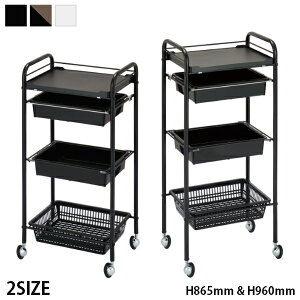 Vi  LX^[t S e lC 쏊 C-420S C421L wɍ킹đIׂZbg