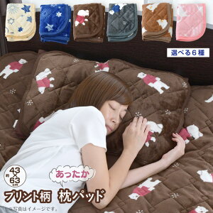 tl vg pbh 43×63cm  Lbg xA[ X^[  킢 􂦂 Jo[ ܂pbgyNbN|Xgziz