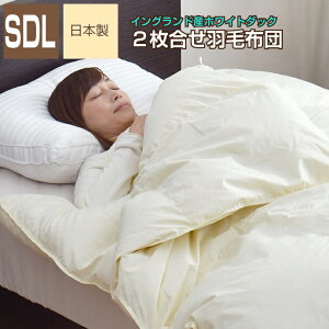 Hѕzc 2 Z~_u 170×210cm COhYzCg_bN_E90 GNZS[hx S̓{ i I[V[Y N | | bBY Hъ|zc 