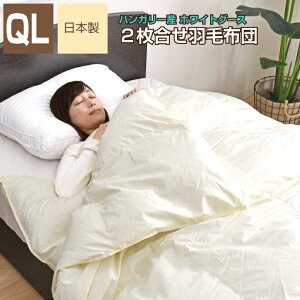 Hѕzc 2 NC[ 210×210cm nK[YzCg}U[O[X_E93 CS[hx S̓{ i I[V[Y N | | bBY Hъ|zc 