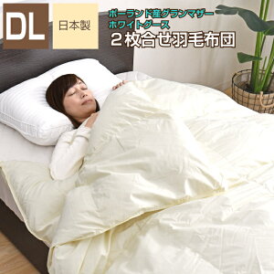 Hѕzc 2 _u 190×210cm |[hO}U[zCgO[X95 v~AS[hx S̓{ i I[V[Y N | | bBY Hъ|zc 