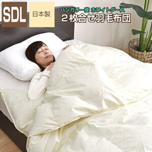 Hѕzc 2 Z~_u 170×210cm nK[YzCgO[X_E93 GNZS[hx S̓{ i I[V[Y N | | bBY Hъ|zc 