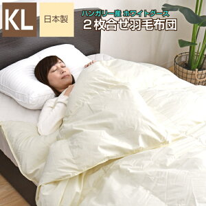 Hѕzc 2 LO 230×210cm nK[YzCgO[X_E93 GNZS[hx S̓{ i I[V[Y N | | bBY Hъ|zc 󒍐Y