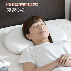 ̎t߂ QԂ薍 30×50cm  ᔽE^tH[ т΍ ̈U  QԂX[Y tBbg  Q Jo[􂦂