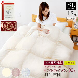 Hѕzc VO 150×210cm COhYzCg_bN_E90 GNZS[hx S̓{ bBY ̃Lg Hъ|zc VOOTCY