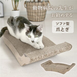 ܂Ƃ L \t@^ 1 2 a@̐搶 _{[  킢 i{[  KK ˂ ߂Ƃ ybgpi 2Zbg Pi