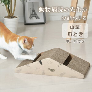 ܂Ƃ L R^ 1 2 a@̐搶 _{[  킢 i{[  KK ˂ ߂Ƃ ybgpi 2Zbg Pi