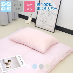 Jo[ 2Zbg 100 35×50cm 43×63cm zcJo[ I[V[Y ₳ z ʋC 􂦂 F2 ܂Jo[ NbN|Xg