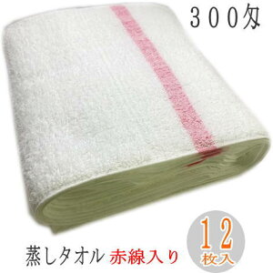 300 ^I Ԑ (12j{ B^I@tFCX^I Ɩp X`[^I o[o[^I zbg^I e e U X ЂGXe T }bT[W 