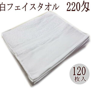 220 ^I E nt \tgdグ (120j  tFCX^I 120 Ɩp vdl Tp e e a@  }bT[W lCT GXe 10_[X bg