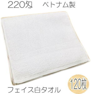 220  tFCX^I (120jxgi \tgdグ̃^I@_炩G@Ɩp T e e GXe a@ `O Ȉ zCg ^I 