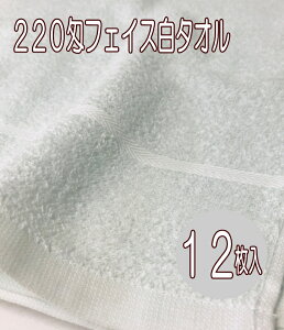 220 VN tFCX^I 12@xgi tFCX^I zCg@I[pC pC Ɩp^I@T GXe e e lC@34×86cm 220 Rbg100@\tgdグ