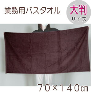 ƖpoX^I 70×140cm _[NuE X 1000 唻oX^I V[gpC e e A} GXeT@W  ڍ@ a@ | G@w̎lɎOpD