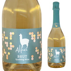 �T���^ �w���i �A���p�J �X�p�[�N�����O �u�����b�g 750ml ���Ȃ� �y ���C�� ���� �`�� �h�� �`�����C�� �X�p�[�N�����O���C�� �j�� �{�g�� �m�� �җ� �� ������ �����C�� ���j�� ���݉� �ƈ���