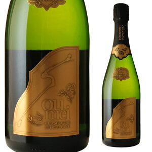 \EC ubg 750ml Vp Ȃ y Vp[j Xp[NOC Xp[NO C h m Vy  ސE җ A    p[eB[ ݉ 