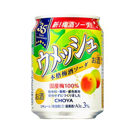 [ケース] チョーヤ ウメッシュ 本格梅酒ソーダ 3度 250ml×24本 うめ リキュール 【お酒 酒 果実酒 フルーツリキュール 手土産 お祝い ギフト 誕生日 家庭用 カクテル 家飲み 洋酒 飲み物 花見 お花見 パーティー 母の日 母 お母さん 】【ワインならリカオ―】