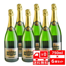 [送無][セット6] トゥルヤール エクストラ セレクション ブリュット 750ml×6本 シャンパン 送料無料【お酒 酒 スパークリングワイン ワイン スパークリング ギフト シャンパーニュ 洋酒 プレゼント お酒 父の日 父 お中元 御中元 】【ワインならリカオー】