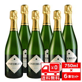 [送無][セット6] エステルラン エクレット ブリュット 750ml×6本 シャンパン 送料無料【お酒 酒 洋酒 ワイン スパークリング ギフト シャンペン シャンパーニュ スパークリングワイン 祝い プレゼント お酒 父の日 父 お中元 御中元 】【ワインならリカオー】