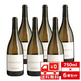 [送無][セット6] ペール ソラン シャルドネ 2024年 750ml×6本 白ワイン フランス 送料無料 【 お酒 ワイン プレゼント 白 ワインセット 内祝い ギフト お祝い 飲み会 酒 家飲み 家呑み 宅飲み 宅呑み 内祝 誕生日 贈り物 】 【ワインならリカオー】