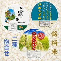 楽天市場】10kg（品種（米）キヌヒカリ）（白米｜米・雑穀）：食品の通販