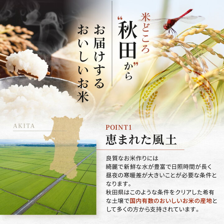 楽天市場】令和6年産 秋田県産 あきたこまち 20kg 白米 精米 お米  