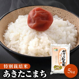 令和5年 特別栽培米 5kg 秋田県大潟村産 あきたこまち 白米 無洗米 胚芽米 玄米【送料無料】【沖縄のみ別途2,200円加算】