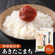 令和7年産 特別栽培米 10kg（5kg×2袋）秋田県大潟村産 あきたこまち 白米 無洗米 胚芽米 玄米【送料無料…