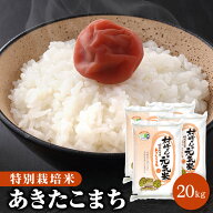 令和7年産 特別栽培米 20kg（5kg×4袋）秋田県大潟村産 あきたこまち 白米 無洗米 胚芽米 玄米【送料無料…