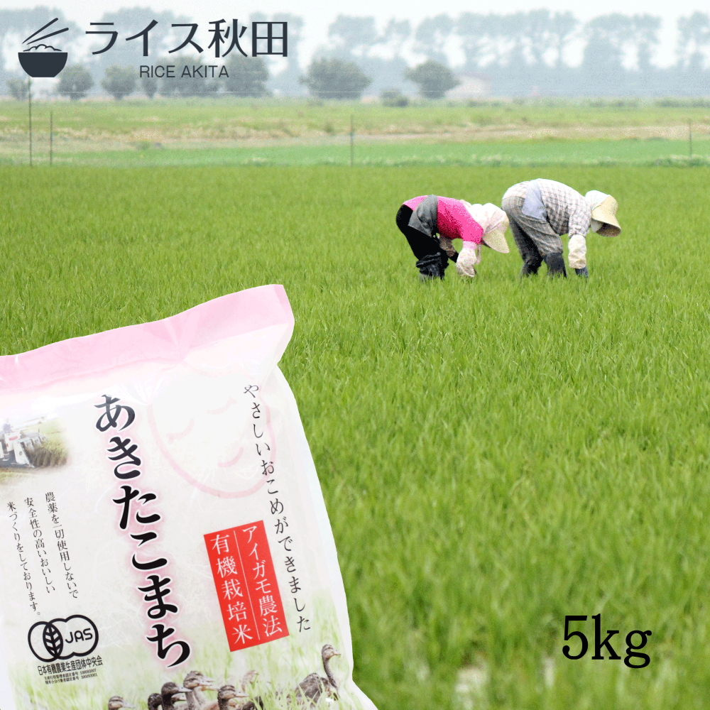 2.5kg×2 脱酸素剤入り 小分け JAS法認証 アイガモ農法 令和2年 有機栽培米 胚芽米 与え 秋田県大潟村産 あきたこまち 白米 １着でも送料無料 5kg 玄米 無洗米