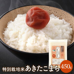 y|Xgzߘa7NY ʍ͔| ܂ 450g     āyz