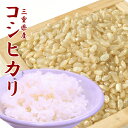 令和7年 コシヒカリ 玄米 10kg 三重県産【五つ星お米マイスター検査米】