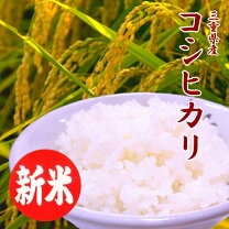 楽天市場】種籾 販売 コシヒカリの通販