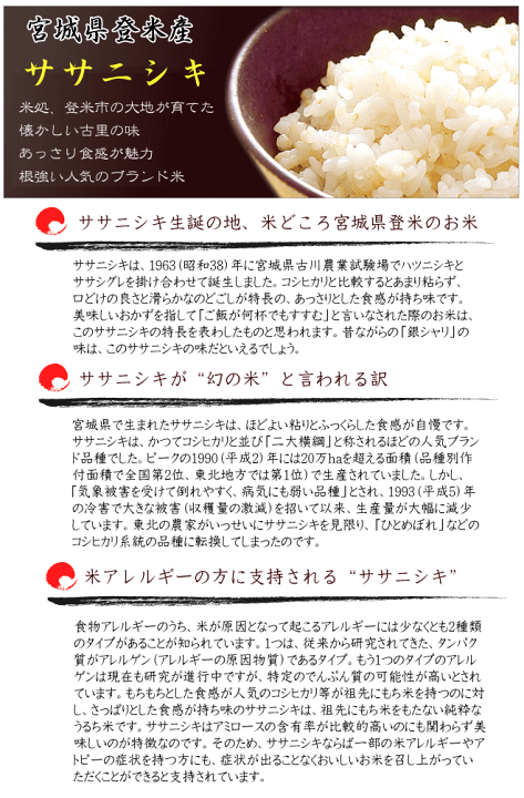楽天市場】＊入荷未定 ◇令和6年産◇ 【送料無料】【特別栽培米