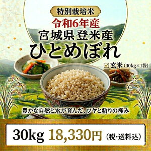 30kg 令和6年 玄米」の人気商品一覧 | 安い商品を通販サイトから探す 