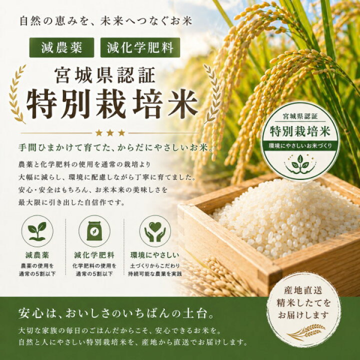 楽天市場】ご愛顧感謝価格5％OFF【19,940円】令和7年産 宮城県産【特別 