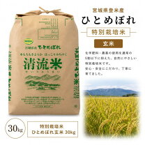 楽天市場】ひとめぼれ 宮城県産 玄米 30の通販