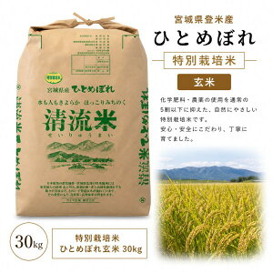 �ߘa7�N�Y �{�錧�Y�y���ʍ͔|�āz�{�錧�F�ؓo�ĎY �ЂƂ߂ڂ� ����30kg �������� �����ꓙ�Č��_��E�����w�엿�H���@�ۃr�^�~�� �~�l�����P�ꌴ�ޗ� ���������ĊÂ݂Ƃ������芴 ��߂�