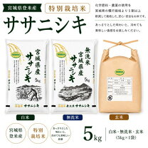 楽天市場】ササニシキ 天 日干し 無 農薬の通販