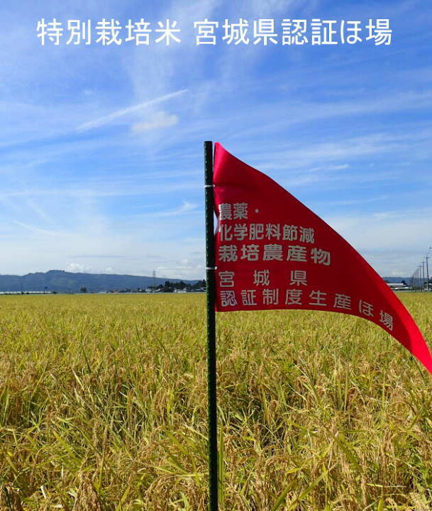 楽天市場】新米◇令和4年産◇ 【送料無料】【特別栽培米】宮城県認証ひとめぼれ 5kg玄米/白米/無洗米 要選択宮城県登米産減農薬・減化学肥料【あす楽対応】  : ライス宮城