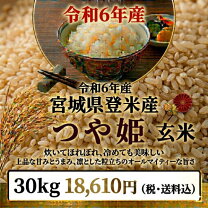 楽天市場】新米 令和6年産 30kgの通販