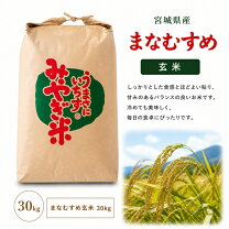 楽天市場】米 30kg きぬむすめの通販