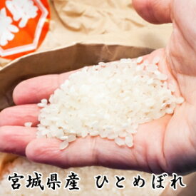 期間限定【4,680円】◆令和5年産◆ひとめぼれ 10kg (5kg×2)【送料無料】宮城県登米産 デザインポリ袋仕様白米または無洗米要選択米 10kg 無洗米10kg 白米10kg