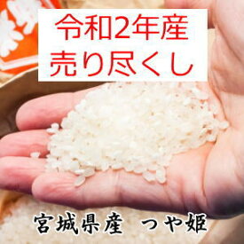 楽天市場 米 10kg 送料無料 スーパーセールの通販