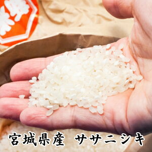 Vāߘa7NY yz{錧oĎY TTjVL 5kg āE_vI𐼂̃RVqJ̃TTjVLyyΉ_k-֐z