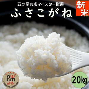 yzyVāztYӂ20kg(5kg×4)R7@yߘa7NYzy܃că}CX^[Izā@ā@