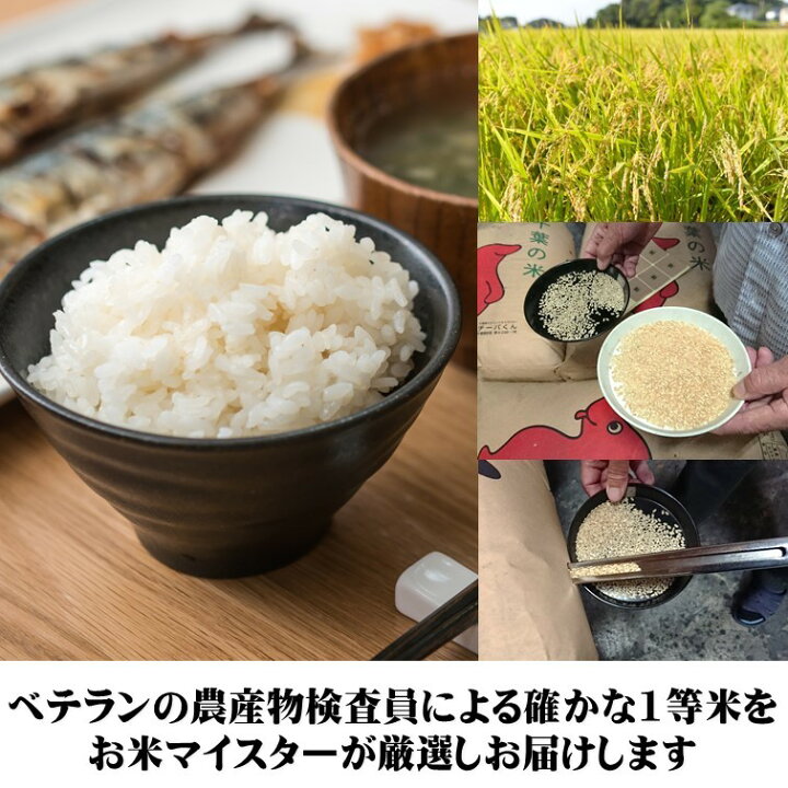 楽天市場】【送料無料】千葉県産ふさこがね 5kg R7【令和7年産】 【五 