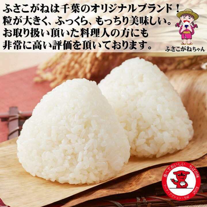 楽天市場】【送料無料】千葉県産ふさこがね 5kg R7【令和7年産】 【五 
