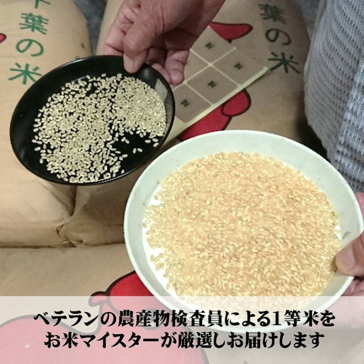 楽天市場】【送料無料】千葉県産コシヒカリ2kg R7【五ツ星お米マイ 
