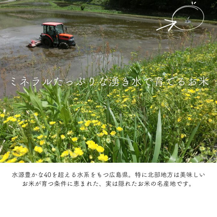 楽天市場】米 30kg 送料無料 コシヒカリ 広島県産 令和7年産 k 