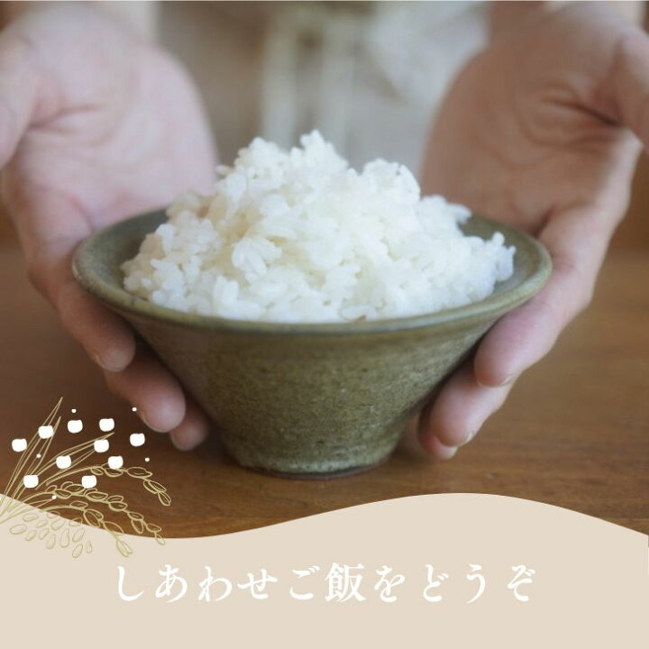 楽天市場】お米 10kg 送料無料 コシヒカリ 令和6年産 受注精米 5kg×2袋  